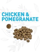 WEEGO Puppy & Junior XS-XL Pui și Rodie hrană uscată câini junior 3kg