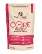 Wellness Core Hrana Uscata Dry Sterilised cu Somon 300 g