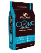 Wellness Core Hrana Uscata Somon si Ton10kg