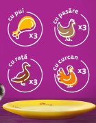 WHISKAS 1+ Poultry Feasts Pasăre plic hrană umedă pisici (în aspic) 1+ Poultry Feasts Selectii Pasăre plic hrană umedă pisici (în aspic) multipack 85g x 12