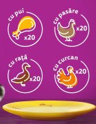 WHISKAS 1+ Poultry Feasts Pasăre plic hrană umedă pisici (în aspic) 1+ Poultry Feasts Selectii Pasăre plic hrană umedă pisici (în aspic) multipack 85g x 80