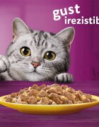 WHISKAS 1+ Poultry Feasts Pasăre plic hrană umedă pisici (în aspic) 1+ Poultry Feasts Selectii Pasăre plic hrană umedă pisici (în aspic) multipack 85g x 80