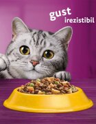 WHISKAS Adult Pui hrană uscată pisici 14kg