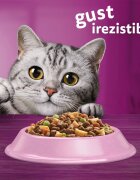 WHISKAS Adult Somon hrană uscată pisici 1.4kg