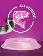 WHISKAS Adult Somon hrană uscată pisici 1.4kg