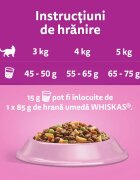 WHISKAS Adult Somon hrană uscată pisici 1.4kg