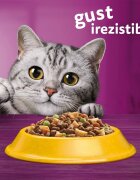 WHISKAS Adult Sterile Pui hrană uscată pisici 800g