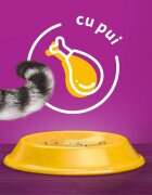 WHISKAS Adult Sterile Pui hrană uscată pisici 800g