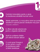 WHISKAS Adult Sterile Pui hrană uscată pisici sterilizate 14kg