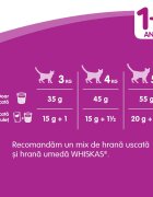 WHISKAS Adult Sterile Pui hrană uscată pisici sterilizate 14kg