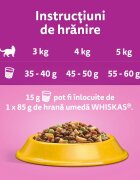 WHISKAS Adult Sterile Pui hrană uscată pisici sterilizate 14kg