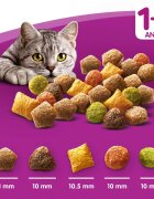 WHISKAS Adult Sterile Pui hrană uscată pisici sterilizate 14kg