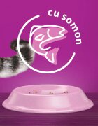 WHISKAS Adult Sterile Somon hrană uscată pisici sterilizate 1.4kg