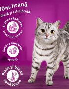 WHISKAS Adult Ton hrană uscată pisici 1.4kg