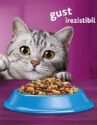WHISKAS Adult Ton hrană uscată pisici 14kg