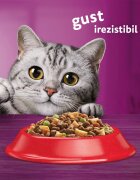 WHISKAS Adult Vită hrană uscată pisici 14kg