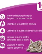 WHISKAS Adult Vită hrană uscată pisici 14kg