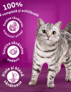 WHISKAS Adult Vită hrană uscată pisici 14kg