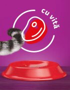 WHISKAS Adult Vită hrană uscată pisici 3.8kg