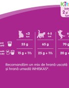 WHISKAS Junior Pui hrană uscată pisici junior 14kg