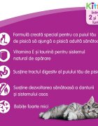 WHISKAS Junior Pui hrană uscată pisici junior 14kg