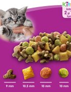 WHISKAS Junior Pui hrană uscată pisici junior 14kg