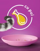 WHISKAS Junior Pui hrană uscată pisici junior 300g