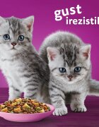 WHISKAS Junior Pui hrană uscată pisici junior 800g
