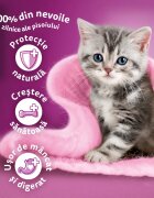 WHISKAS Junior Pui hrană uscată pisici junior 800g
