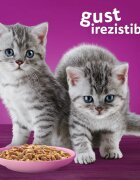 WHISKAS Junior Pui plic hrană umedă pisici junior (în aspic) 85g