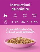 WHISKAS Junior Pui plic hrană umedă pisici junior (în aspic) 85g