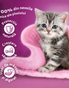 WHISKAS Junior Selectii Clasice Miel Vită Pui și Pasăre plic hrană umedă pisici (în sos) multipack 85g x 12