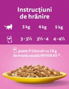 WHISKAS Pui plic hrană umedă pisici (în aspic) 85g