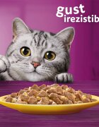 WHISKAS Pui plic hrană umedă pisici (în aspic) 85g