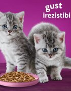 WHISKAS Pure Delight Junior Selectii Pasăre Pui și Curcan plic hrană umedă pisici junior (în aspic) multipack 85g x 4