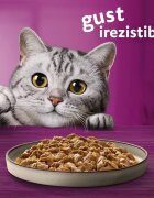WHISKAS Pure Delight Mixed Selection Vită Pui Somon și Ton plic hrană umedă pisici (în aspic) multipack 85g x 12