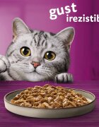 WHISKAS Pure Delight Selectii Clasice Vită și Pui plic hrană umedă pisici (în aspic) multipack 85g x 4