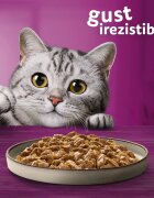 WHISKAS Pure Delight Selectii Pasăre Pui și Curcan plic hrană umedă pisici (în aspic) multipack 85g x 4