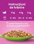 WHISKAS Selectii Mixte Vită Pui Somon și Ton hrană umedă pisici (în aspic) multipack Selectii Mixte Vită Pui Somon și Ton plic hrană umedă pisici (în aspic) multipack 85g x 12