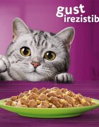 WHISKAS Selectii Mixte Vită Pui Somon și Ton hrană umedă pisici (în aspic) multipack Selectii Mixte Vită Pui Somon și Ton plic hrană umedă pisici (în aspic) multipack 85g x 12
