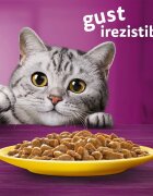 WHISKAS Selectii Pasăre plic hrană umedă pisici (în sos) multipack 85g x 12