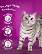 WHISKAS Selectii Pasăre plic hrană umedă pisici (în sos) multipack 85g x 12