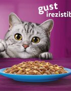 WHISKAS Selectii Pește Somon și Ton plic hrană umedă pisici (în aspic) multipack 85g x 4