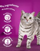 WHISKAS Somon plic hrană umedă pisici (în sos) 85g
