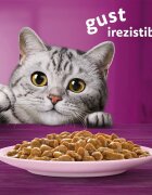 WHISKAS Somon plic hrană umedă pisici (în sos) 85g
