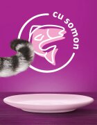 WHISKAS Somon plic hrană umedă pisici (în sos) 85g