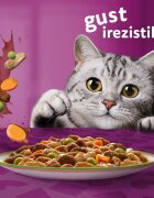 WHISKAS Tasty Mix Chef's Choice Somon Vită și Pasăre plic hrană umedă pisici (în sos) multipack 85g x 4 Tasty Mix Chef's Choice Somon Vită și Pasăre plic hrană umedă pisici (în sos) bax 85g x 12buc