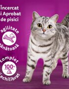 WHISKAS Tasty Mix Chef's Choice Somon Vită și Pasăre plic hrană umedă pisici (în sos) multipack 85g x 4 Tasty Mix Chef's Choice Somon Vită și Pasăre plic hrană umedă pisici (în sos) bax 85g x 12buc
