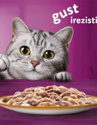 WHISKAS Tasty Mix Creamy Creations Miel și Curcan plic hrană umedă pisici (în sos) 85g