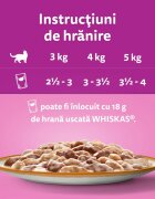 WHISKAS Tasty Mix Creamy Creations Miel și Curcan plic hrană umedă pisici (în sos) 85g
